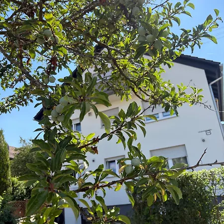 Uhland8 Lägenhet Freiberg am Neckar